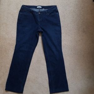 Coldwater Creek Modern Fit Jeans sz 14